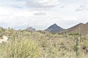 Tucson 2535